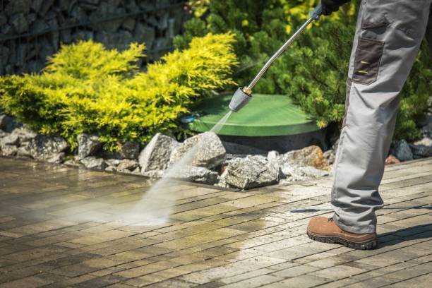 Animal Enclosure Cleaning in Walker, MI